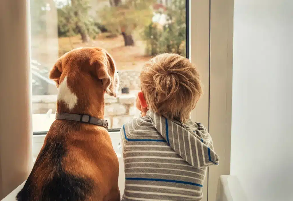 Little boy and dog looking out new window of house on a sunny day