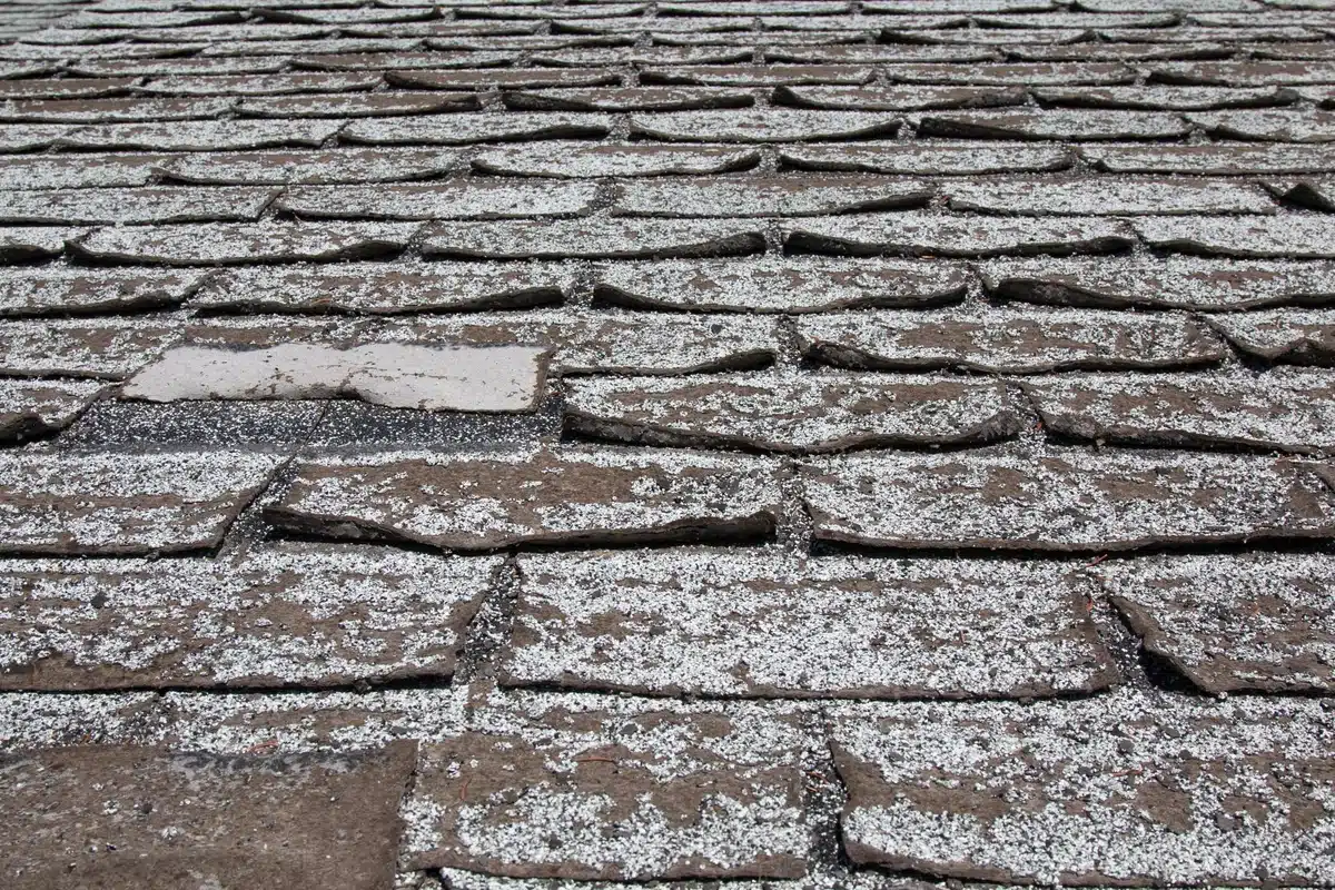 buckling shingles suffering granule loss