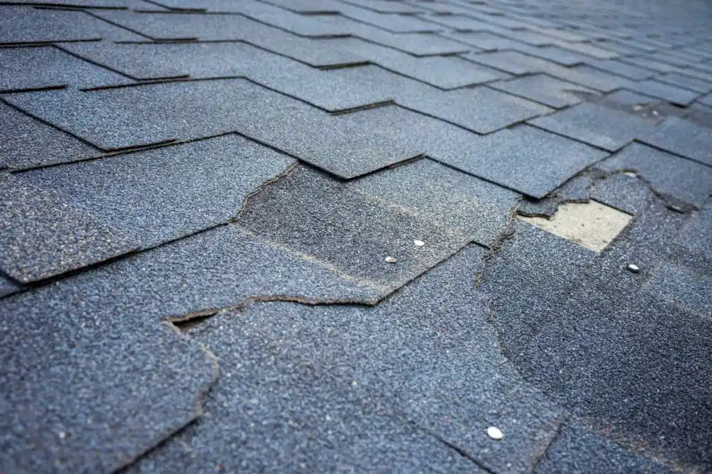 Chipped and broken asphalt shingles