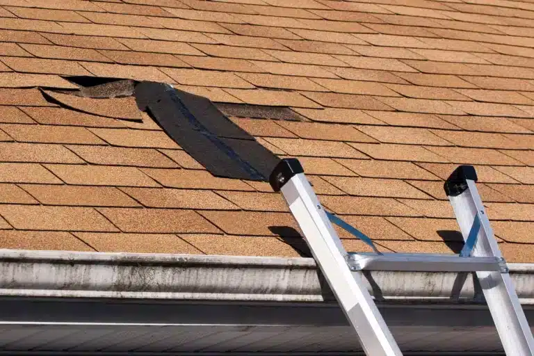 missing shingles on asphalt shingle roof