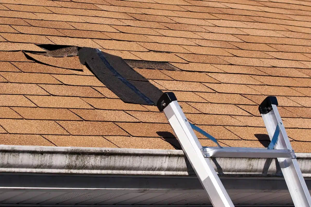 missing shingles on asphalt shingle roof