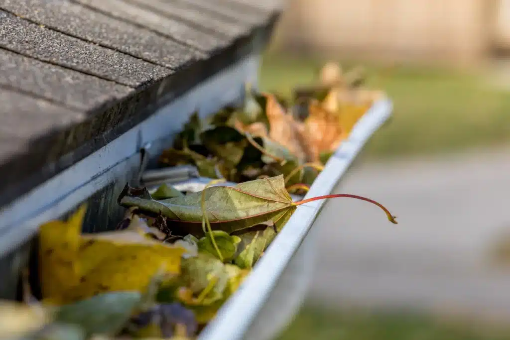keep-gutters-clean