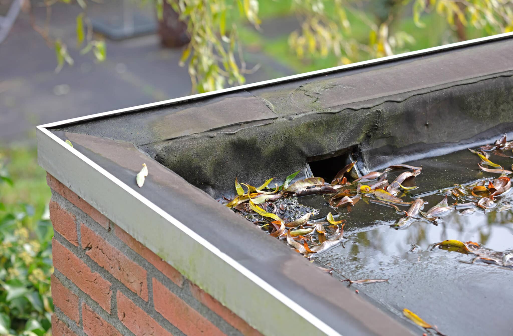 Timber Scupper What Is A Roof Scupper & Why Is It Important?
