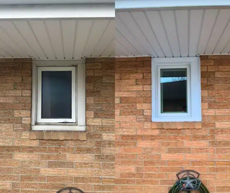 New windows in Findlay